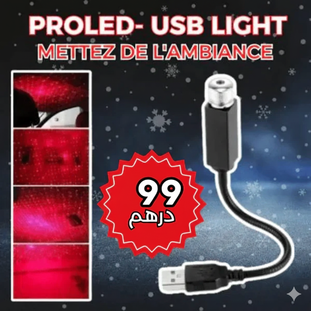 PROLED- USB Light